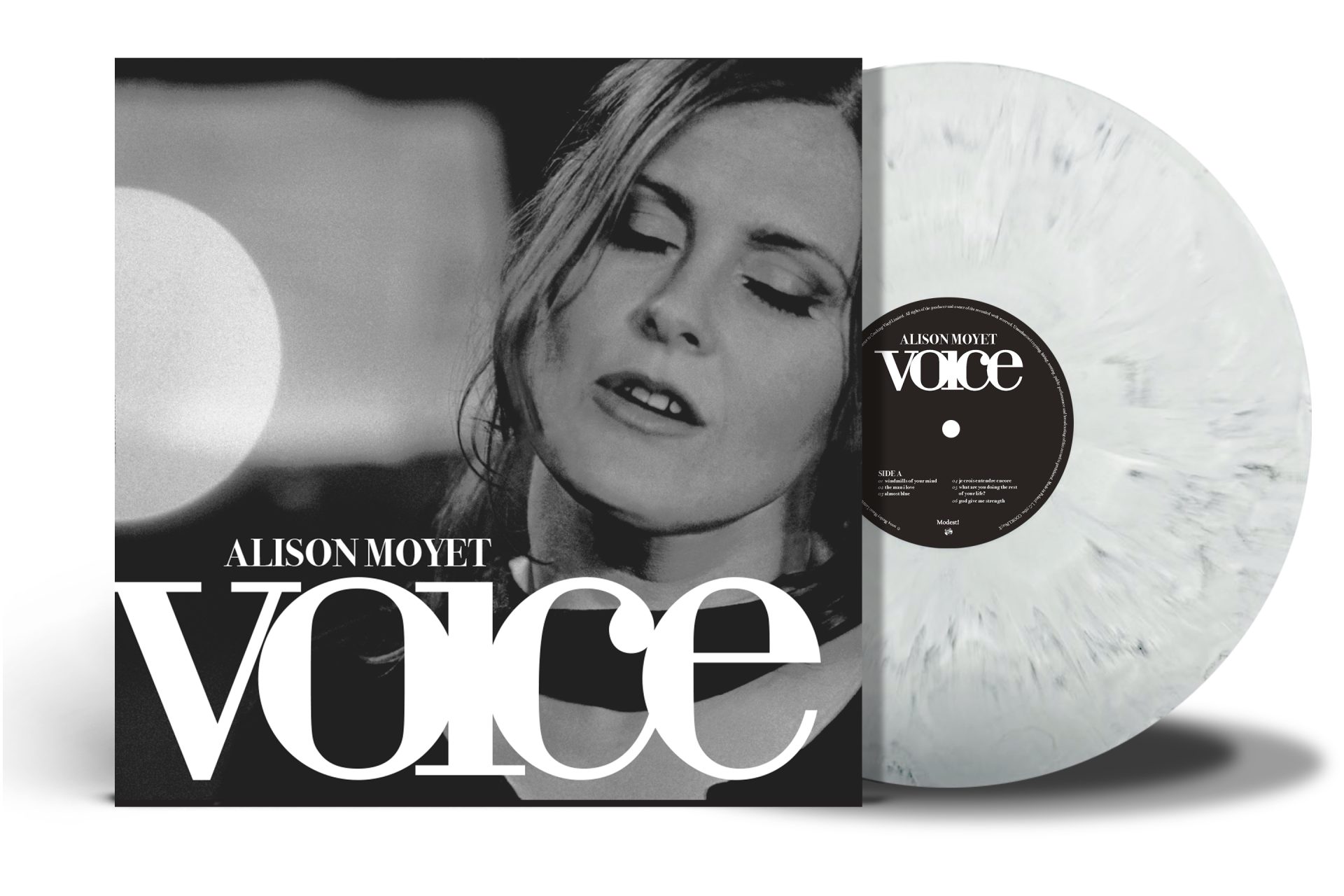 VOICE 2026

White Marble Vinyl